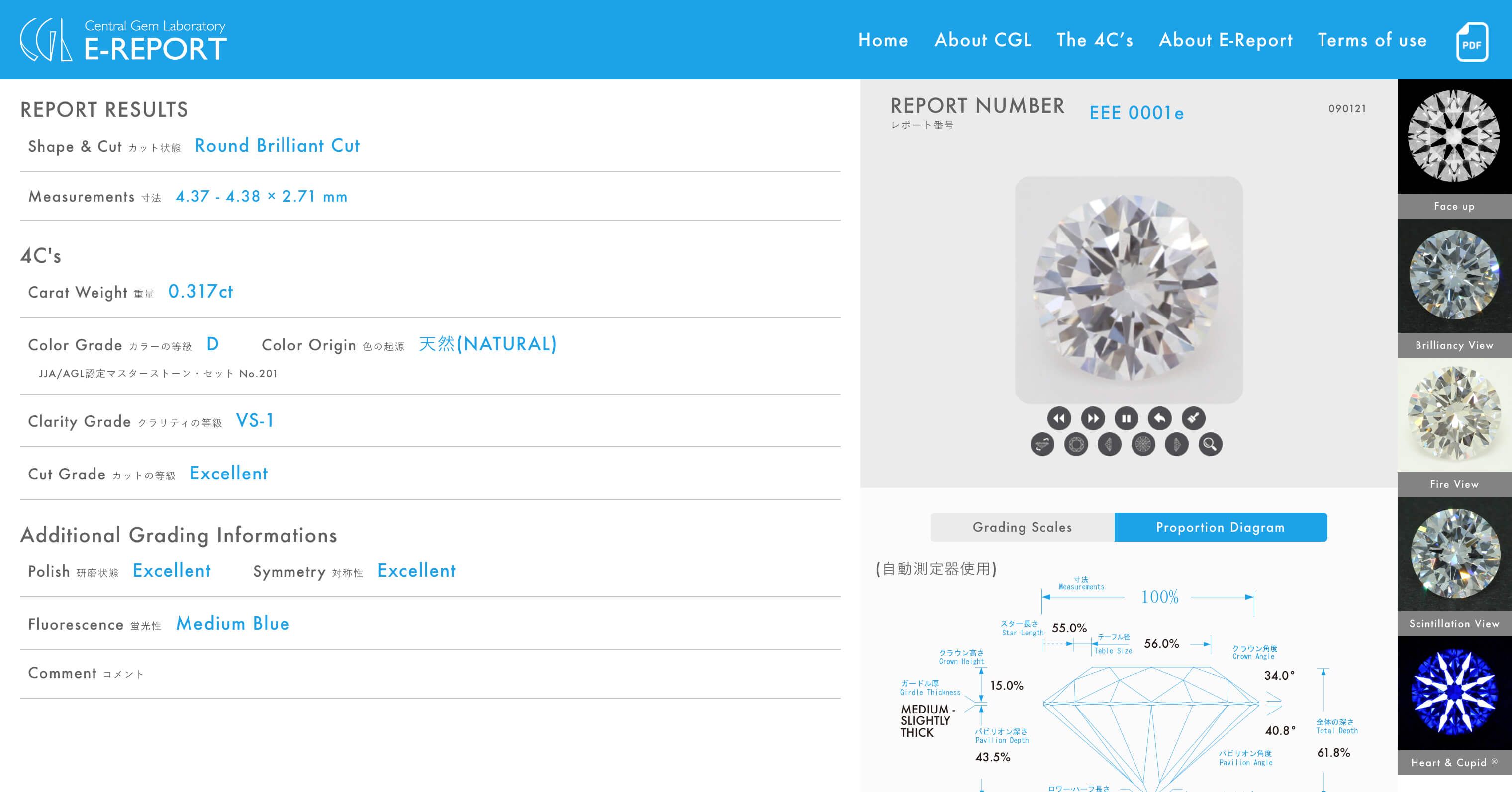 デジタルレポートWebアプリケーションの開発・運用保守